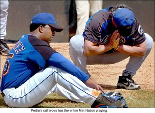 Pedro Martinez's injury may throw a kink in the Mets' plans.